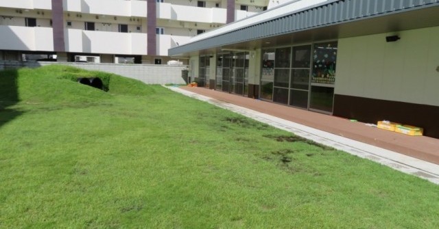 大芽保育園分園　大地