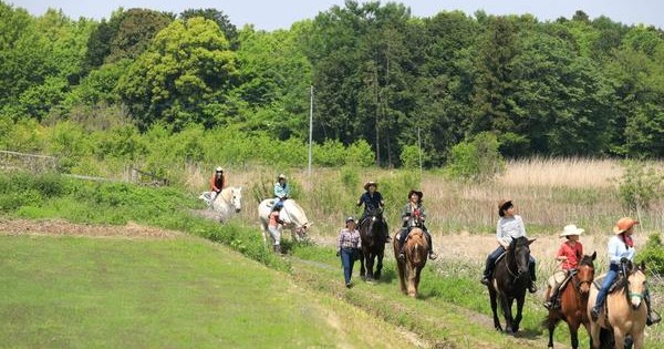 やまと認定こども園 桜川市 の口コミ 基本情報 チビナビ