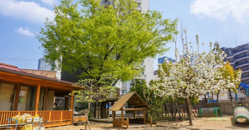 けやきの木保育園分園（けやきの木分園）