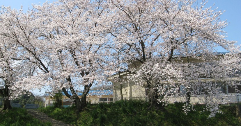 島津保育所