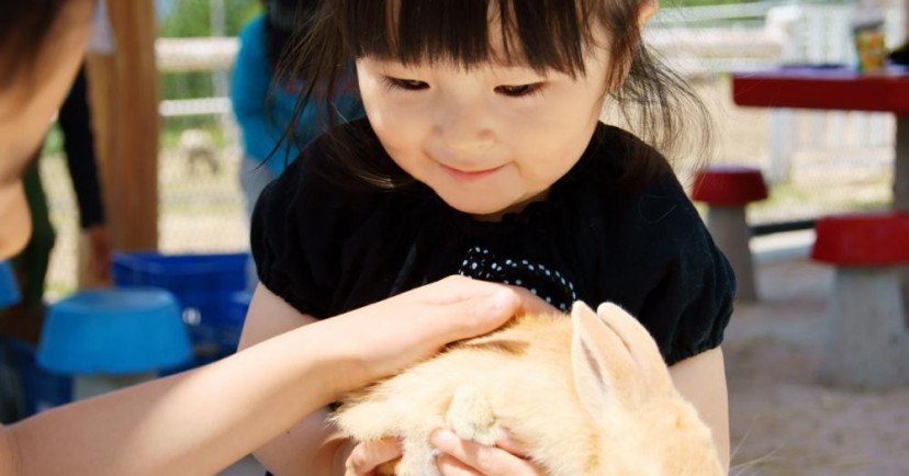 小規模保育事業　やまざき乳児園（みつば）