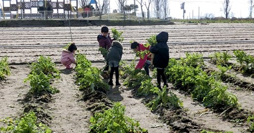 ゆたか幼稚園