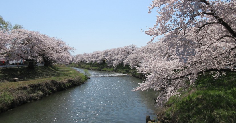 ならやま認定こども園