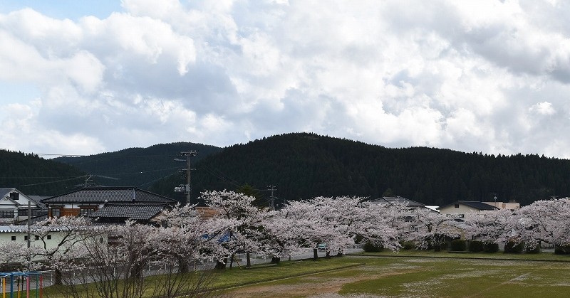 石沢保育園