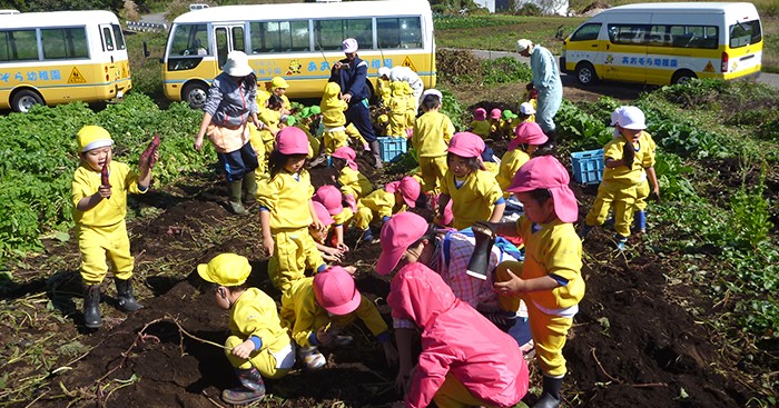 認定こども園あおぞら幼稚園