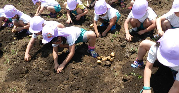 認定こども園元八王子幼稚園