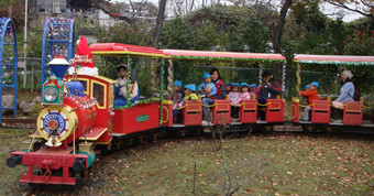 認定こども園　子どもの森