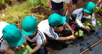 認定こども園子どもの森幼稚園