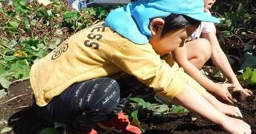 江東区立南陽幼稚園