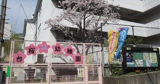 東京都 保育園 幼稚園 一覧 チビナビ