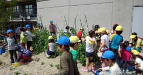 芝浦幼稚園