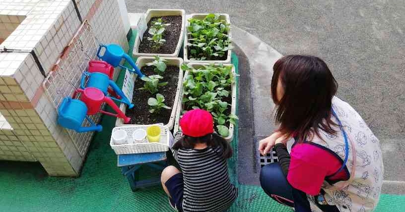 江東区立小名木川幼稚園