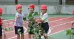 淀橋第四幼稚園