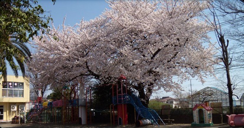 関町カトレヤ幼稚園