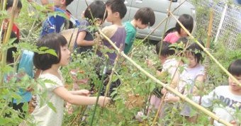 認定こども園　女の都幼稚園