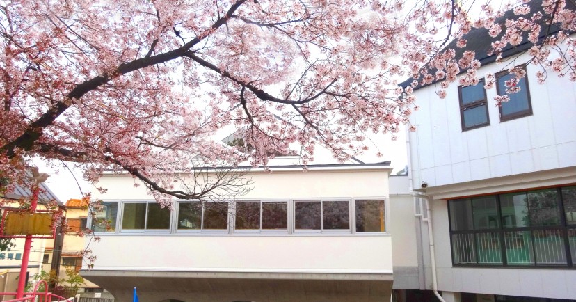 認定こども園　菅原天満幼稚園