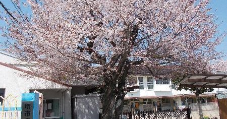 東陶器こども園