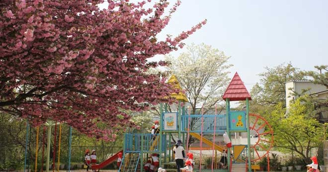 認定こども園上代幼稚園