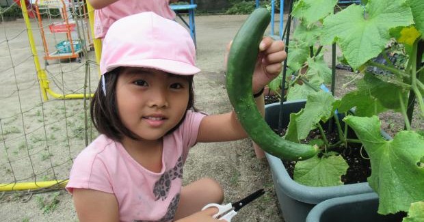 箕面市立なか幼稚園