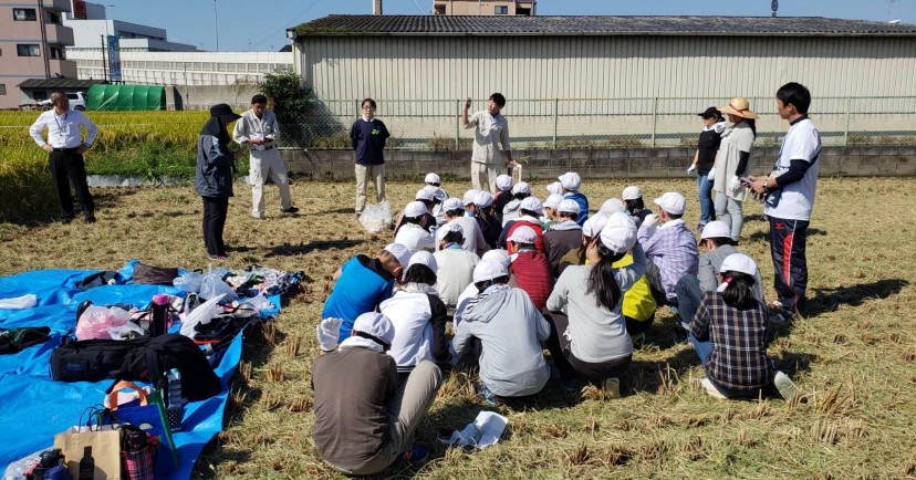 藤井寺南幼稚園