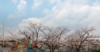 認定こども園佐竹台幼稚園