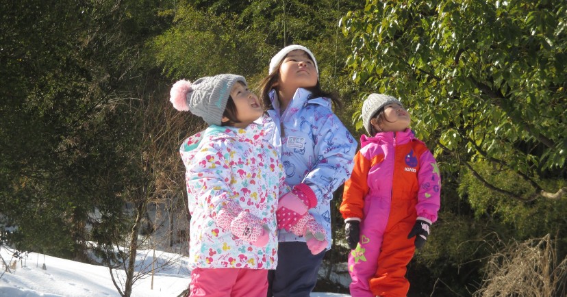 幼保連携型認定こども園蓮代寺こども園