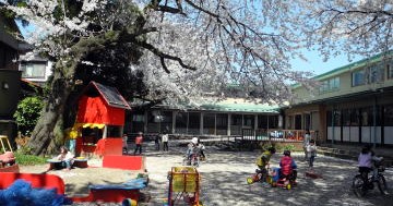 桜木幼稚園