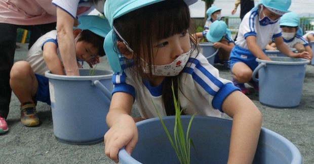 杉田幼稚園