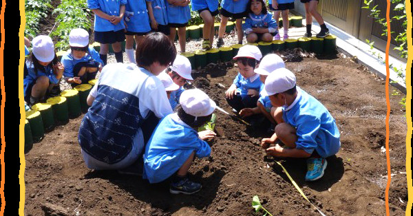 かしわ幼稚園