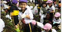 帝京大学幼稚園