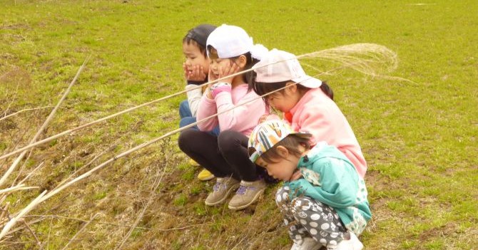 若葉こども園