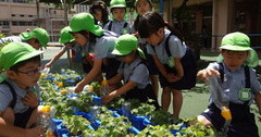 北豊島幼稚園