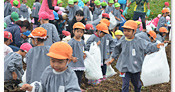 帝京幼稚園