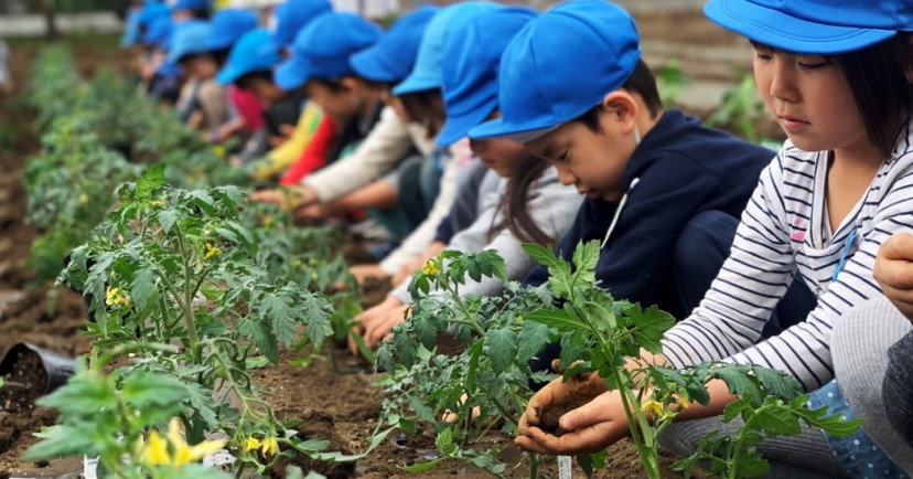 さかえ幼稚園