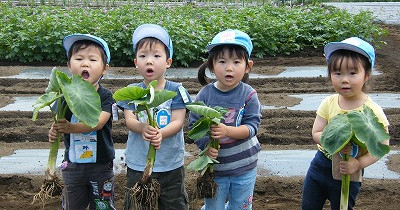 さかえ幼稚園