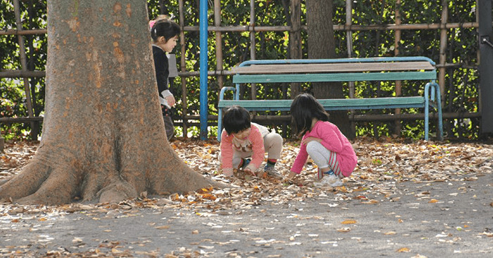 三鷹杉の子幼稚園