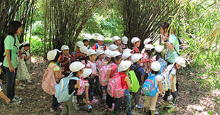 白鳩幼稚園