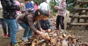 下落合みどり幼稚園