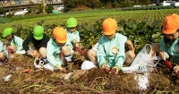 池上みどり幼稚園