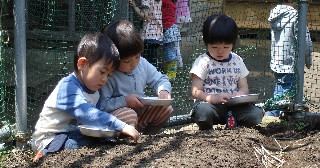 平塚幼稚園