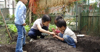 平塚幼稚園