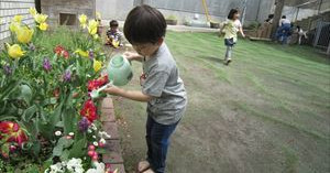 代田幼稚園