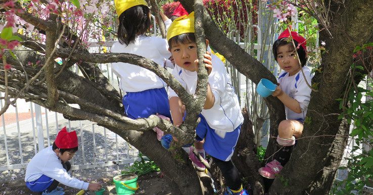 調布幼稚園