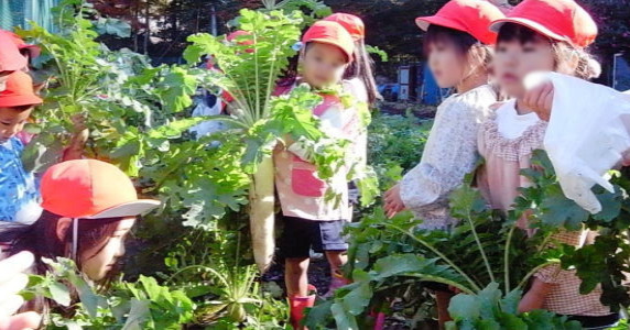 豊島なでしこ幼稚園