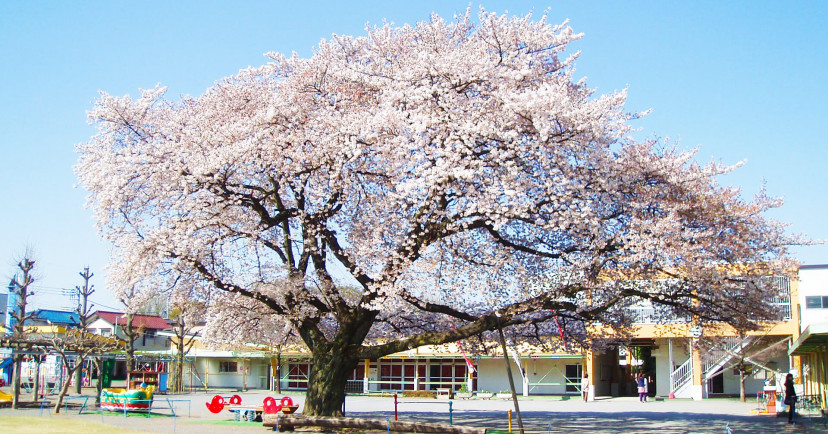 久留米神明幼稚園