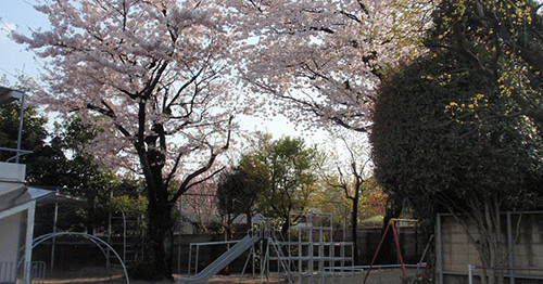 上野毛幼稚園