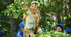 玉川学園幼稚部