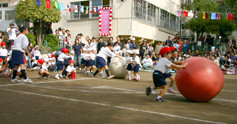 アゼィリア幼稚園