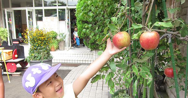 葛飾若草幼稚園