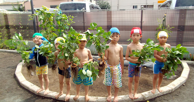 田無ひまわり保育園